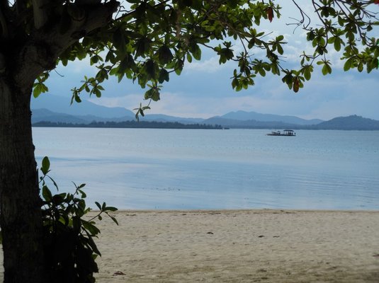 Dos Palmas Island Resort & Spa by null
