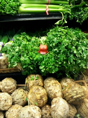 Open Harvest Co-op Grocery by null