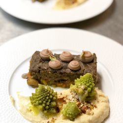 Vegan Gorilla