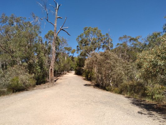 Cleland National Park by null