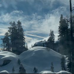Tahoe National Forest