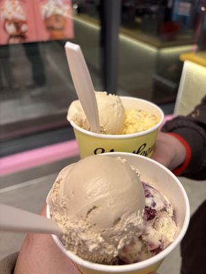 Van Leeuwen Ice Cream by null