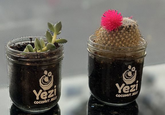 Yezi Coconut Dessert by null
