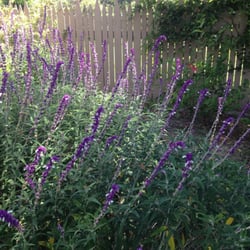 Southwestern College