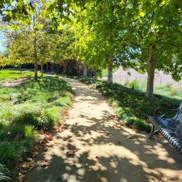 Lush trails and benches around the park Lush trails and benches around the park