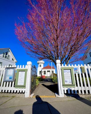 Lighthouse Park by null