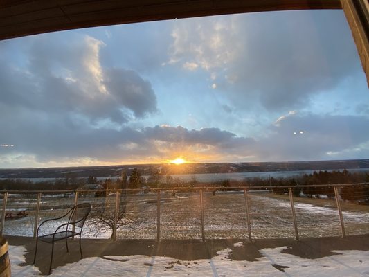 Damiani Wine Cellars by null