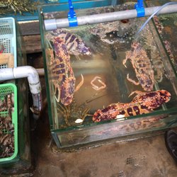 南丫海景民豐海鮮酒家