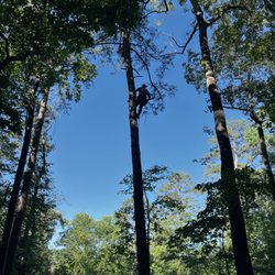 Parker Tree Service