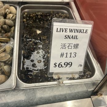 Pan-Asian Supermarket - Live snails - International Grocery Near Me - West Allis, Wisconsin Pan-Asian Supermarket - Live snails - International Grocery Near Me - West Allis, Wisconsin