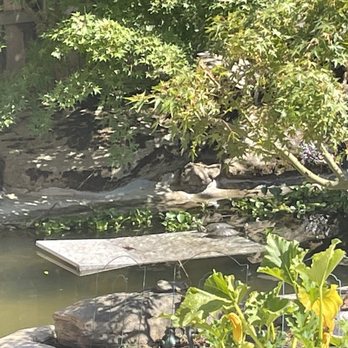 Those Two Fish Guyz - Aquarium Services Near Me