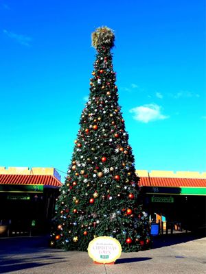 Christmas Town Tampa Bay by null
