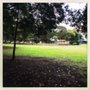 Photo of Punch Park