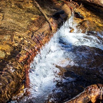 Pisgah National Forest - Hiking Near Me - Pisgah Forest, North Carolina