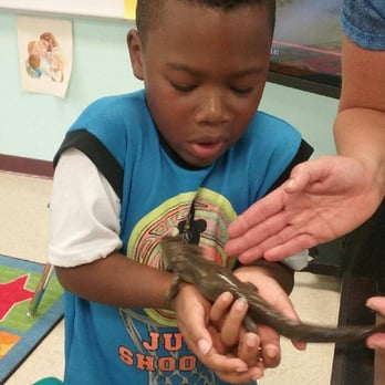 Risen Savior Academy - Silly science reptiles at summer camp - Preschools Near Me - Orlando, Florida Risen Savior Academy - Silly science reptiles at summer camp - Preschools Near Me - Orlando, Florida