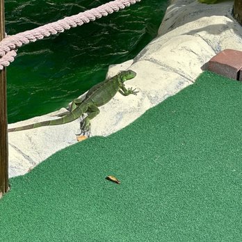 Porky's Bayside Mini Golf - Mini Golf Near Me - Marathon, Florida Porky's Bayside Mini Golf - Mini Golf Near Me - Marathon, Florida