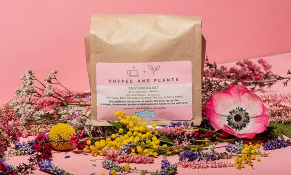 Coffee and Plants by null