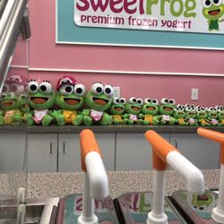 SweetFrog Premium Frozen Yogurt - Cash wrap