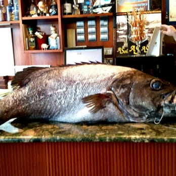 Solaina - Mero recién pescado para la cena. - Galician Near Me - O Grove, PO