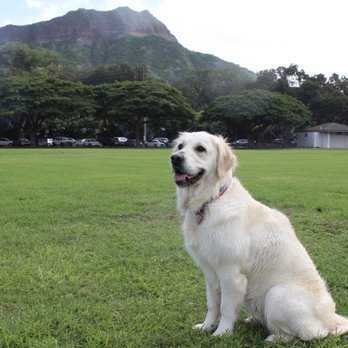 Kapiolani Park - Parks Near Me - Honolulu, Hawaii Kapiolani Park - Parks Near Me - Honolulu, Hawaii