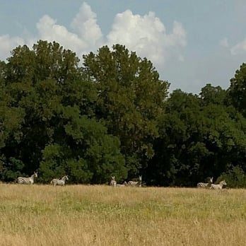 Choctaw Preserve - Wild life - Tours Near Me - Denison, Texas