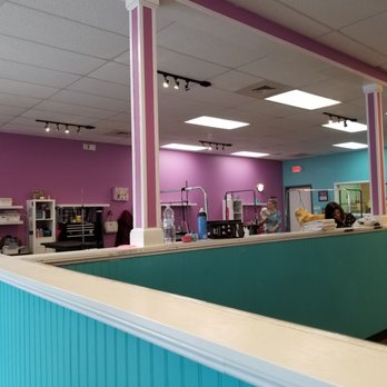Bubbles N' Bows Doggie Salon - Wall divide the grooming area. - Pet Groomers Near Me - Fort Mill, South Carolina Bubbles N' Bows Doggie Salon - Wall divide the grooming area. - Pet Groomers Near Me - Fort Mill, South Carolina