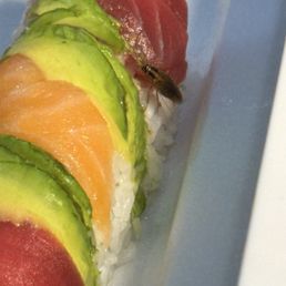Roach on the sushi Roach on the sushi