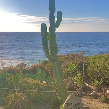 Coast Walk Trail - This Surf Garden was created by Greg...probably a local surfer dude - Hiking Near Me - San Diego, California Coast Walk Trail - This Surf Garden was created by Greg...probably a local surfer dude - Hiking Near Me - San Diego, California