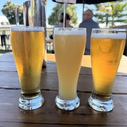 The Sprig & Fern Tavern