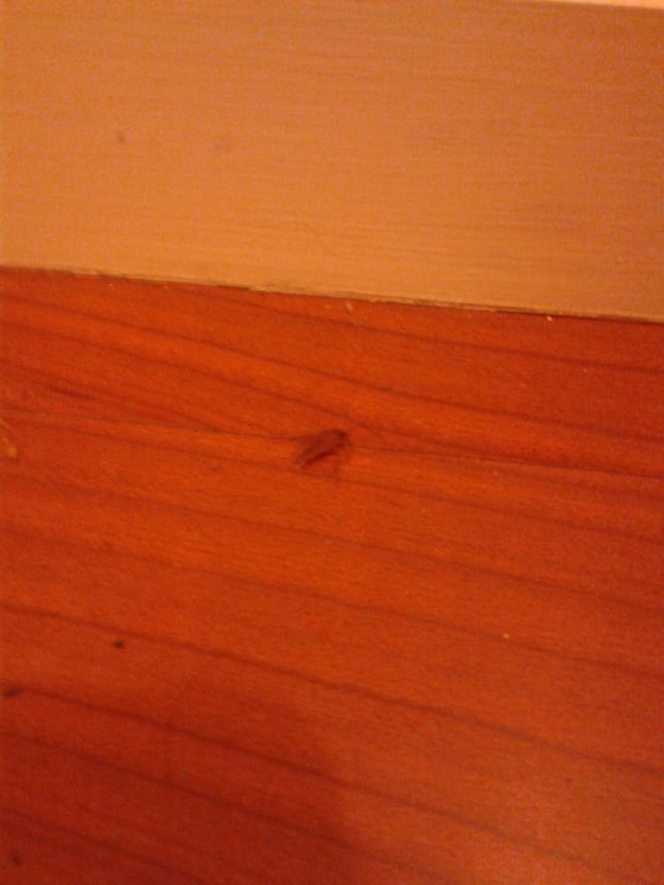 ARBORS Updated July 2024 10468 Investment Cir, Rancho Cordova