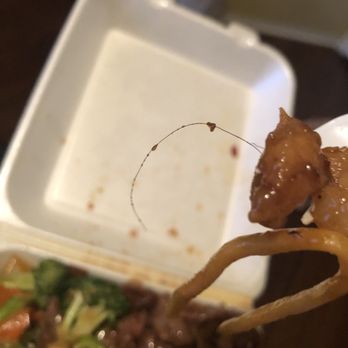 Good China Express - I had to throw out my whole meal this was the first thing I picked up. How gross - Chinese Near Me - San Jacinto, California Good China Express - I had to throw out my whole meal this was the first thing I picked up. How gross - Chinese Near Me - San Jacinto, California