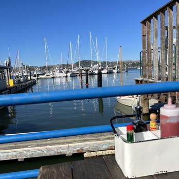 Fish - Dinner with a view - Seafood Near Me - Sausalito, California Fish - Dinner with a view - Seafood Near Me - Sausalito, California
