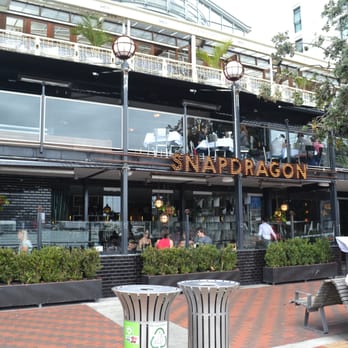 Snapdragon - Bars Near Me - Auckland, AUK