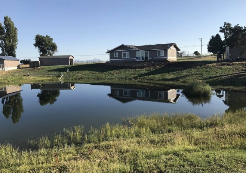 HONG WOLFE WINDERMERE REAL ESTATE Contact Agent Real Estate Agents