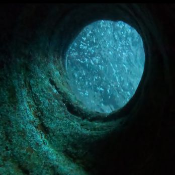 Seasport Divers - Scuba Diving Near Me - Koloa, Hawaii