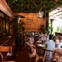 Photo of Catalina