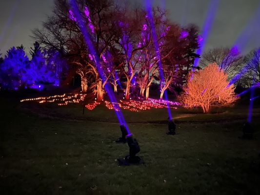 The Morton Arboretum by null