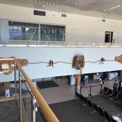 Juneau International Airport - JNU