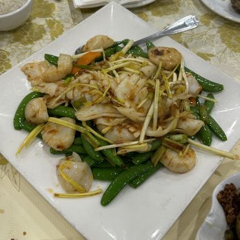 Golden Wonton King - Scallops & Squid in XO Sauce w/ Yellow Chives & Snap Peas - Cantonese Near Me - Flushing, New York Golden Wonton King - Scallops & Squid in XO Sauce w/ Yellow Chives & Snap Peas - Cantonese Near Me - Flushing, New York