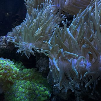 Discovery World - Children's Museums Near Me - Milwaukee, Wisconsin