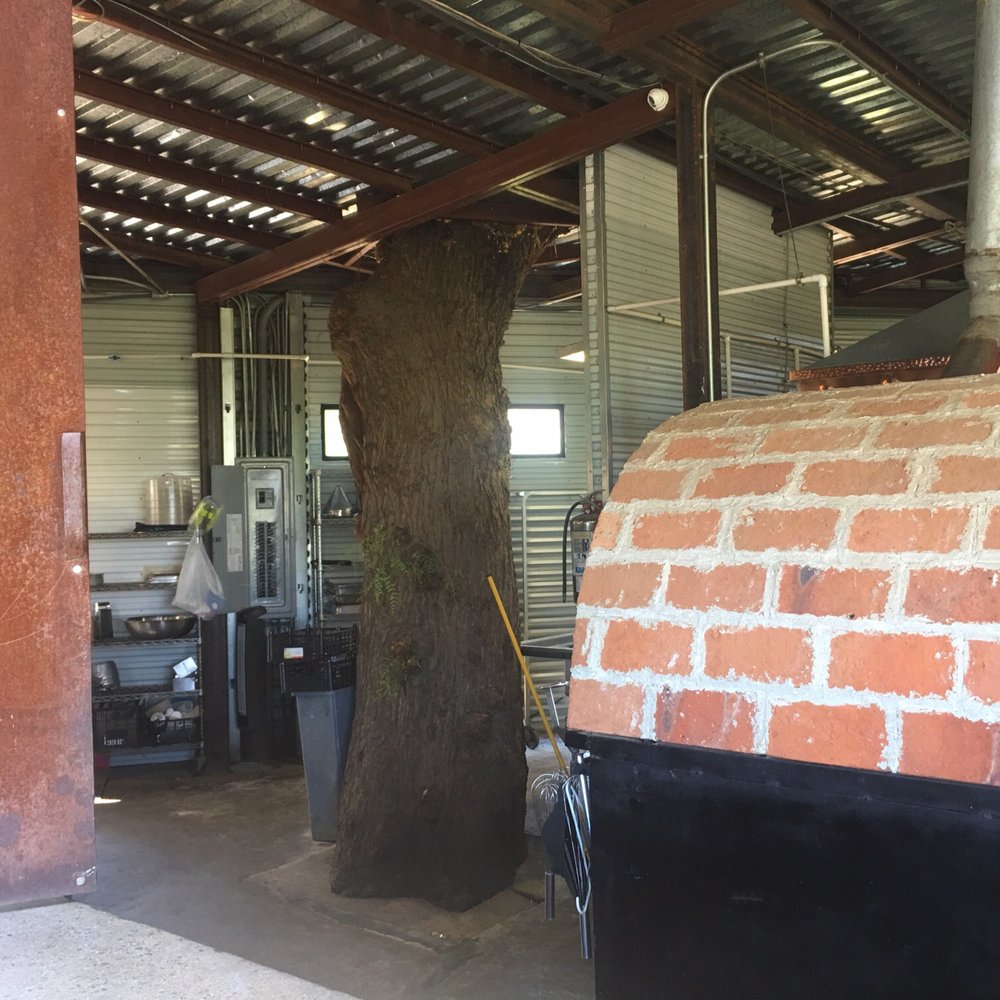 La Esperanza - The kitchen is built around a tree!! - Mediterranean Near Me - Asufre, BCN La Esperanza - The kitchen is built around a tree!! - Mediterranean Near Me - Asufre, BCN