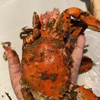Captain Dan's Crabhouse - Large crab fits in the palm of my small hand for $100 - Seafood Near Me - Eldersburg, Maryland Captain Dan's Crabhouse - Large crab fits in the palm of my small hand for $100 - Seafood Near Me - Eldersburg, Maryland