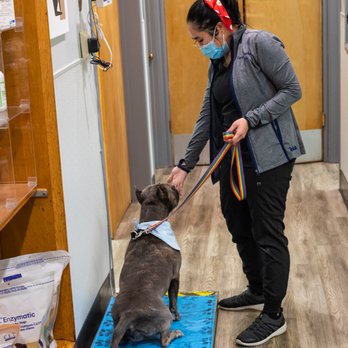 Campus Veterinary Clinic - What a good sit! - Veterinarians Near Me - Berkeley, California Campus Veterinary Clinic - What a good sit! - Veterinarians Near Me - Berkeley, California