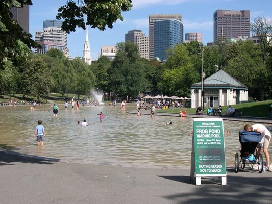 Boston Common Frog Pond by null