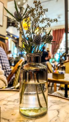 The Paris Market, Savannah by null