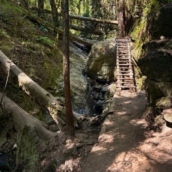 Steep Ravine Trail - The ladder - Hiking Near Me Steep Ravine Trail - The ladder - Hiking Near Me
