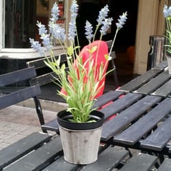 Star Coffee - Table setting. You'll need to order inside.