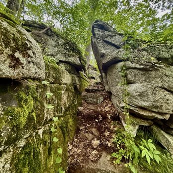 Sanders Hill Trail - Hiking Near Me - Rome, Maine