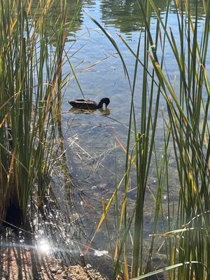 Lakeside RV Park by null
