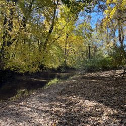 Mastodon State Historic Site - Mastadon State Park